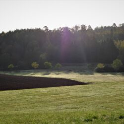 Hahnenmühle Fine Arts Prints